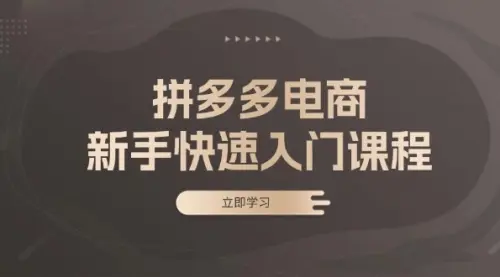 拼多多电商新手快速入门课程：涵盖基础、实战与选款，助力小白轻松上手_云峰资源库