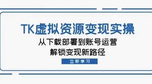 TK虚拟资料变现实操：从下载部署到账号运营，解锁变现新路径_云峰资源库