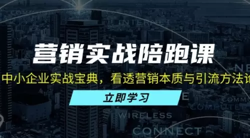 营销实战陪跑课：中小企业实战宝典，看透营销本质与引流方法论_云峰资源库