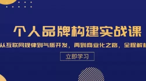 个人品牌构建实战课：从互联网规律到气质开发，再到商业化之路，全程解析_云峰资源库