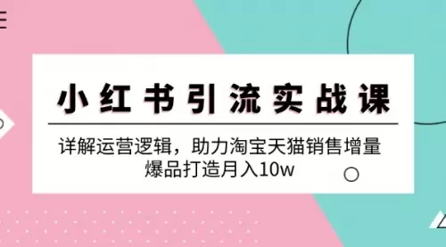 小红书引流实战课：详解运营逻辑，助力淘宝天猫销售增量，爆品打造月入10w_云峰资源库