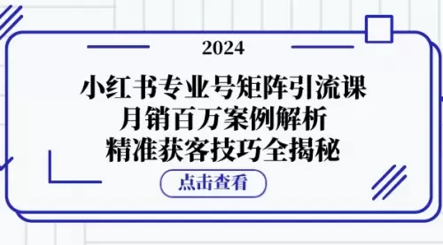 小红书专业号矩阵引流课，月销百万案例解析，精准获客技巧全揭秘_云峰资源库