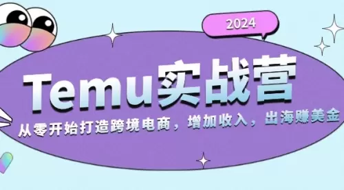 2024Temu实战营：从零开始打造跨境电商，增加收入，出海赚美金_云峰资源库