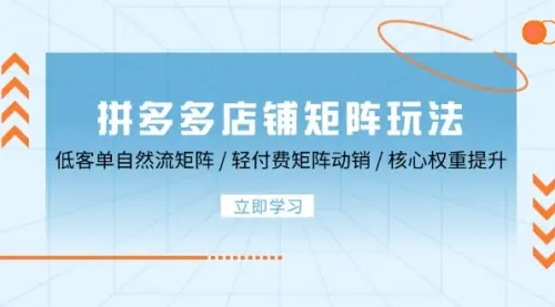 拼多多店铺矩阵玩法：低客单自然流矩阵 / 轻付费矩阵 动销 / 核心权重提升_云峰资源库