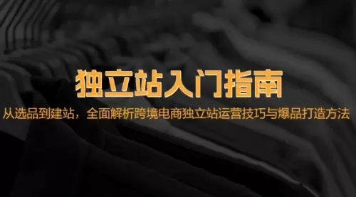 独立站入门指南：从选品到建站，全面解析跨境电商独立站_云峰资源库