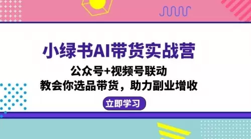 小绿书AI带货实战营：公众号+视频号联动，教会你选品带货，助力副业增收_云峰资源库