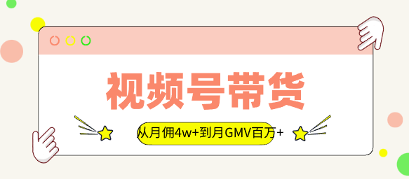 从月佣4w+到月GMV百万+，我在视频号两次从0到1_云峰资源库