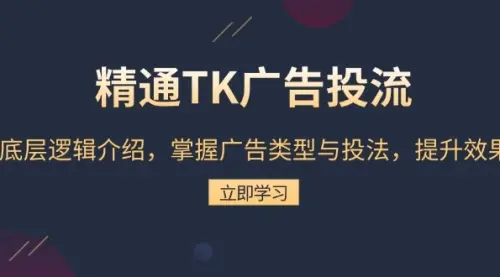 精通TK广告投流：底层逻辑介绍，掌握广告类型与投法，提升效果_云峰资源库