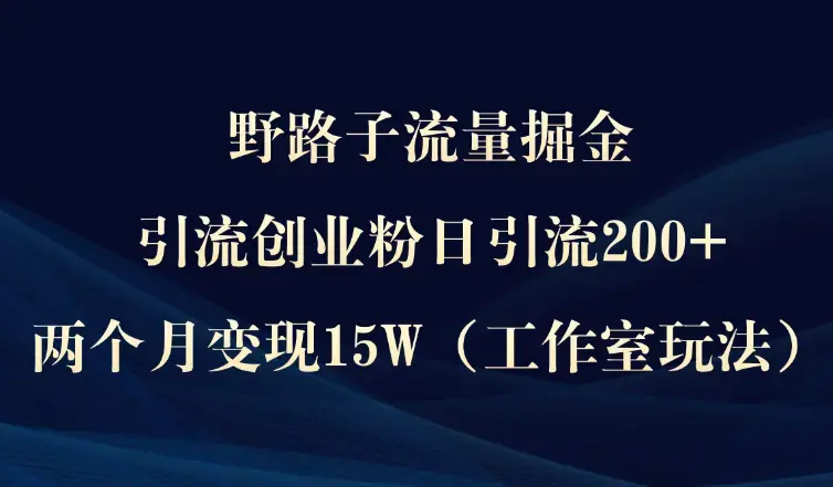 野路子流量掘金，引流创业粉日引流200+，两个月变现15W（工作室玩法）_云峰项目库