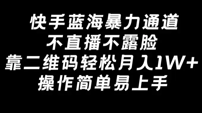 快手蓝海暴力通道，不直播不露脸，靠二维码轻松月入1W+，操作简单易上手_云峰项目库