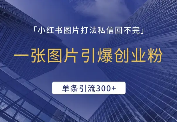 一张图片引爆创业粉，私信回不完，单条引流300+_云峰项目库