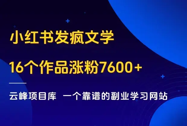 小红书发疯文学梗图，16个作品涨粉7600+，傻瓜式赚钱玩法！_云峰项目库