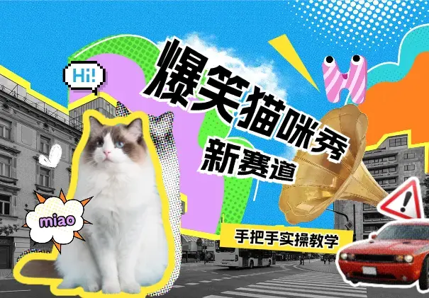 爆笑猫咪视频：自媒体搞钱新赛道，手把手带你实操_云峰项目库