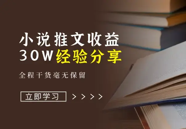 小说推文收益30W大佬经验分享，全程干货毫无保留_云峰项目库