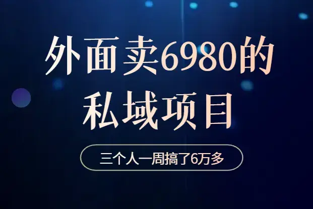 分享一个外面卖6980的私域项目三个人用这套模式一周搞了6万多_云峰项目库