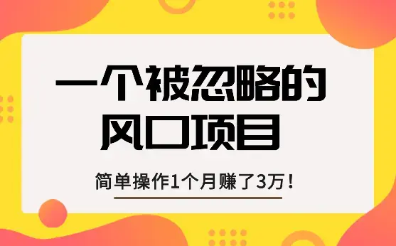 简单操作1个月赚了3万！一个被忽视的暴力风口项目_云峰项目库