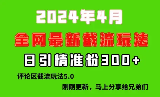 刚刚研究的最新评论区截留玩法，日引流突破300+，颠覆以往垃圾玩法_云峰项目库