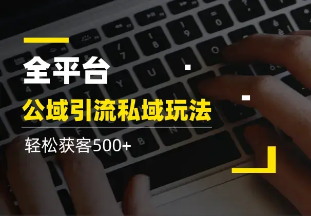 最新全平台公域引流私域玩法，轻松获客500+_云峰项目库
