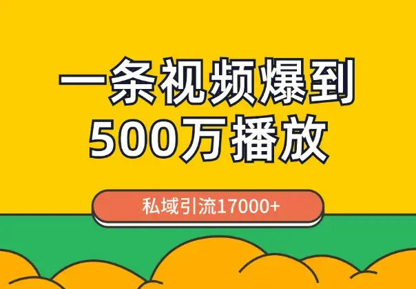 通过一条视频爆到视频号500万播放，私域引流17000+【图文】_云峰项目库