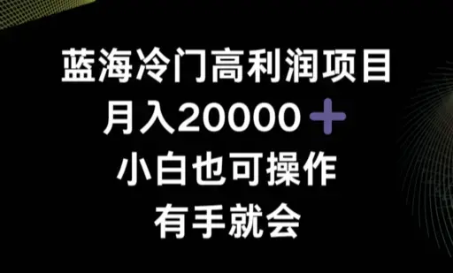 蓝海冷门高利润项目月入2000，小白也可操作有手就会_云峰项目库