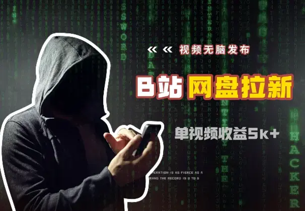 视频无脑发布B站做网盘拉新，单视频最高收益5k+_云峰项目库