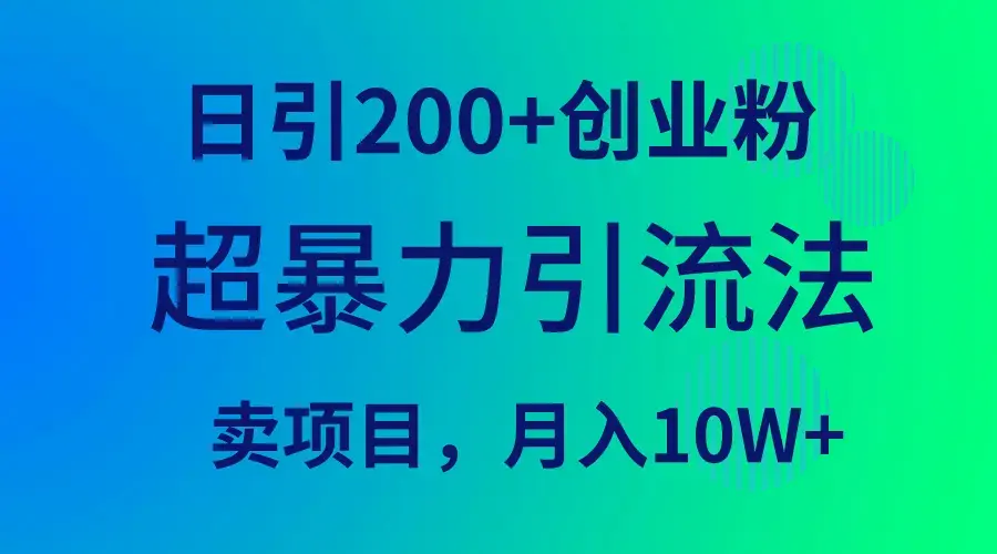 超暴力引流法，日引200+创业粉，卖项目月入10W+_云峰项目库