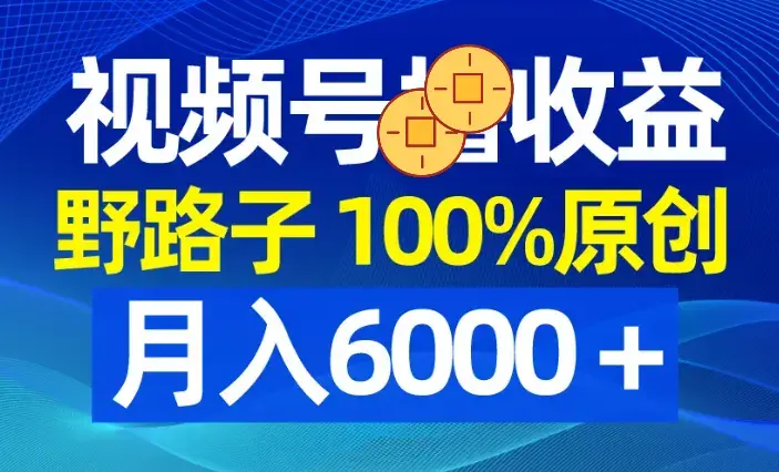 视频号野路子收益，100%原创，条条爆款，月入6000＋_云峰项目库