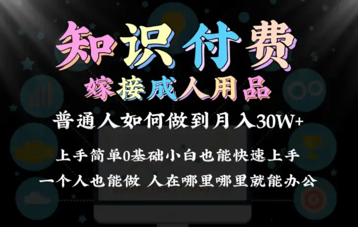 2024普通人做知识付费结合成人用品如何实现单月变现30w 保姆教学1.0_云峰项目库