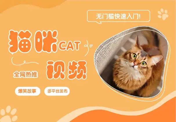 全网热推的猫咪搞笑视频，多平台发布，无门槛快速入门!_云峰项目库