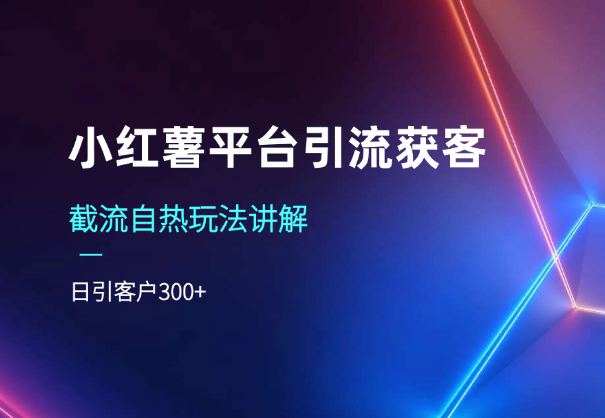 小红薯平台引流获客截流自热玩法讲解，日引客户300+_云峰项目库