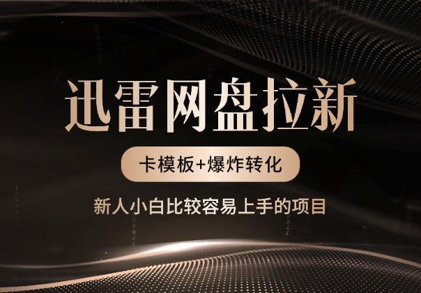 迅雷网盘拉新玩法，卡模板爆炸转化，新人容易上手的项目_云峰项目库