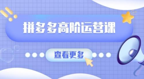 拼多多高阶运营课：极致群爆款玩法，轻付费无尽复制，打造单品爆款之路_云峰项目库