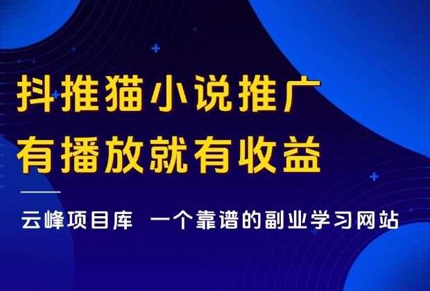 抖推猫小说视频代发，有播放就有收益，暴富2025！_云峰项目库