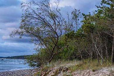 有好东西卖不出去？别再免费送了！靠 “0 元客户”，我搞定第一批爆款案例