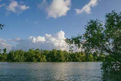 赚钱的底气，远比银行卡里的数字更重要