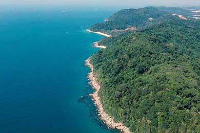 对标账号”分析法：扒光同行秘密，快速找到内容方向和变现模式！