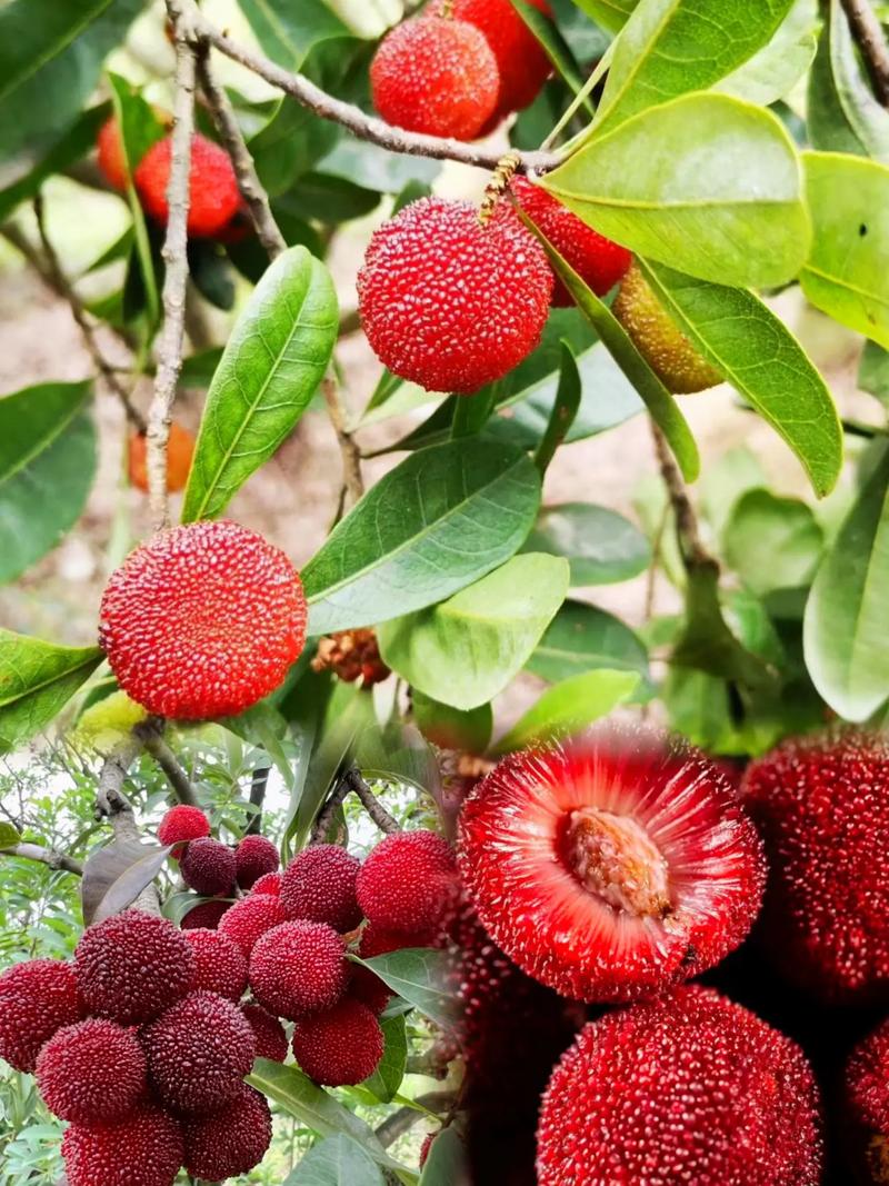 每天坚持写作,是普通人用自媒体改命的唯一杠杆